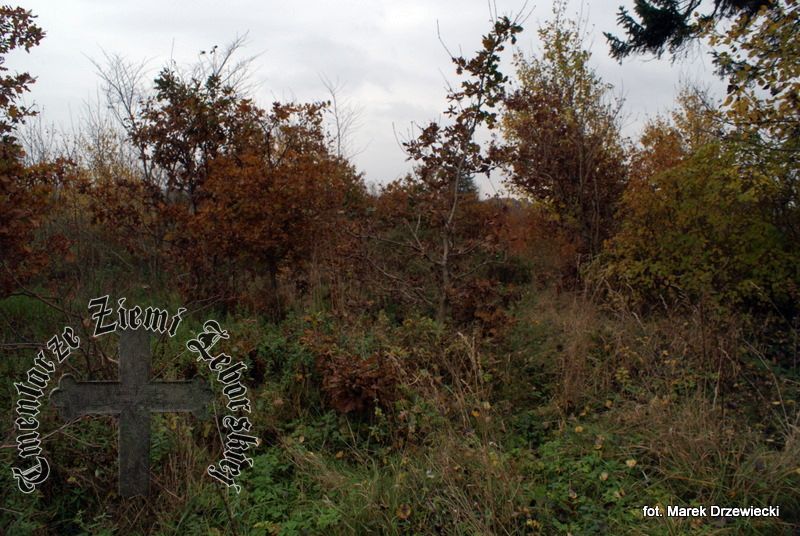 Bąsewice — cmentarz (ewangelickie)