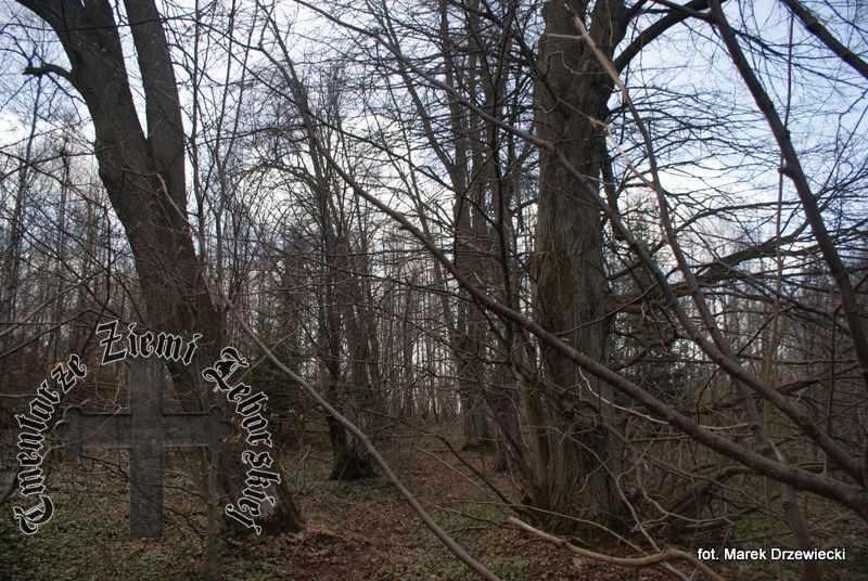 Darżewo — cmentarz (ewangelickie)