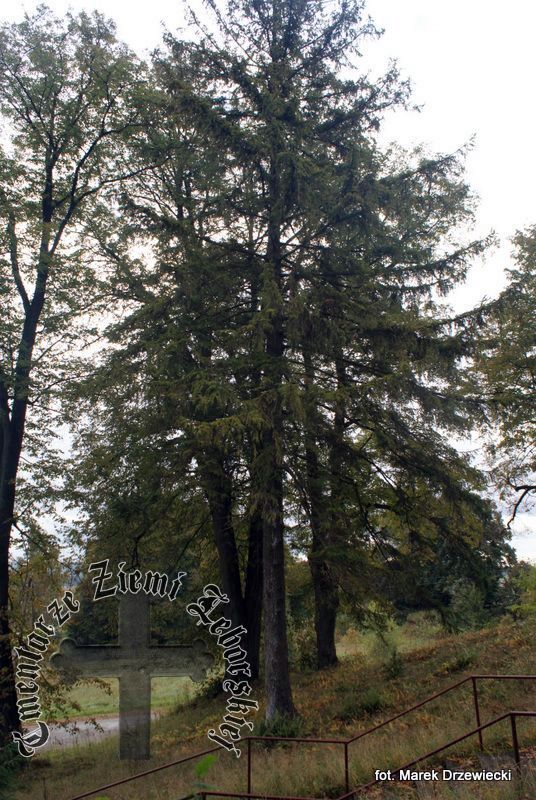 Dzięcielec — cmentarz (ewangelickie)