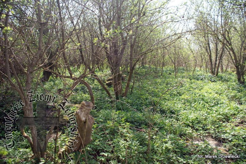 Kopaniewo — cmentarz (ewangelickie)