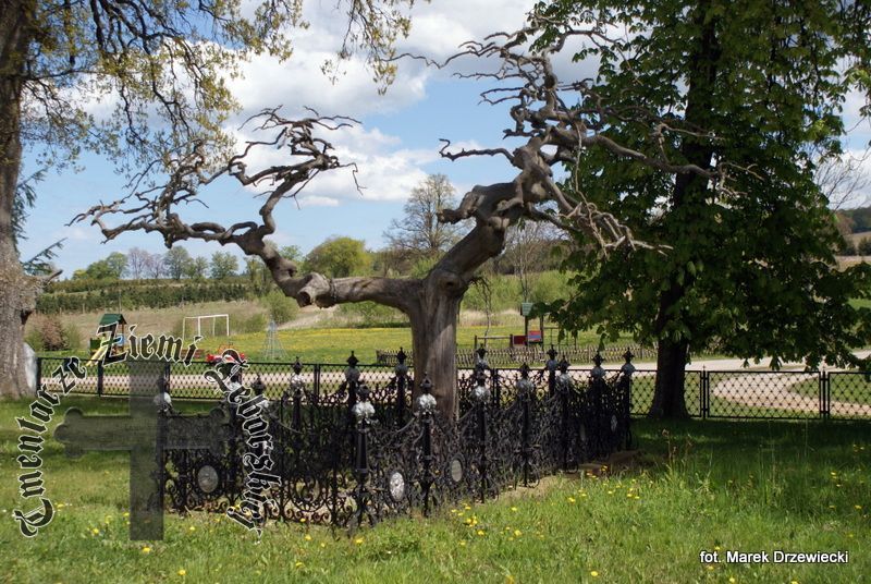 Roszczyce — cmentarz (ewangelickie)