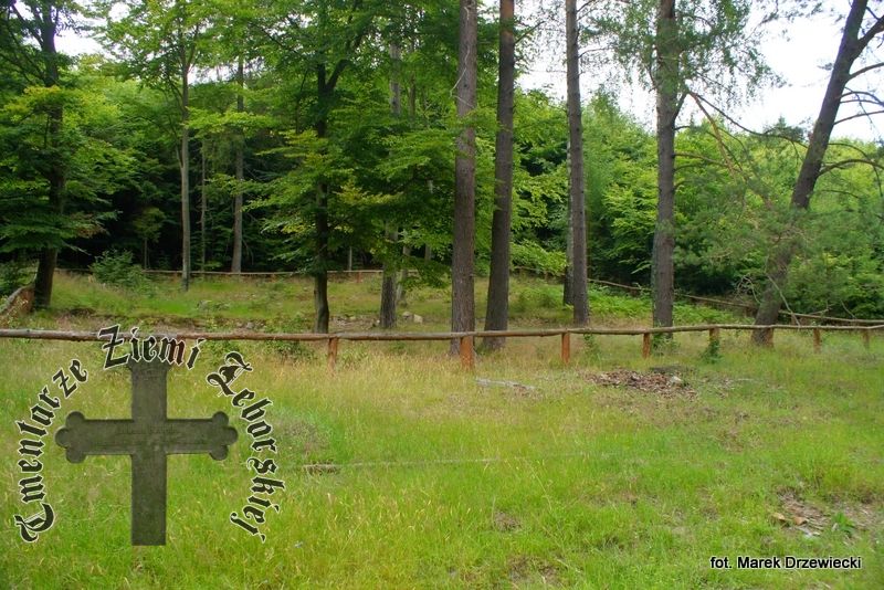 Wieliszewo — cmentarz (ewangelickie)