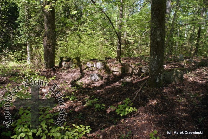Zolnica ( Dąbrowa Brzezińska ) — cmentarz (ewangelickie)